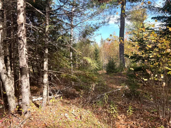 $65,000 | Lot 22 Off South Meadow, Perry, ME 04667