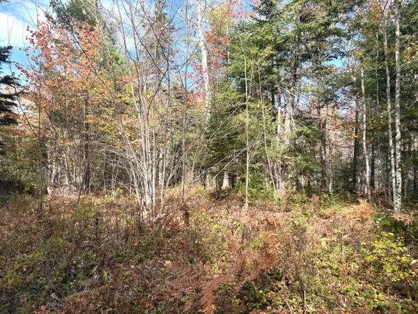 $65,000 | Lot 22 Off South Meadow, Perry, ME 04667