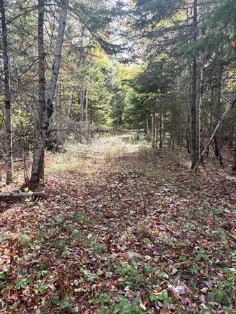 $65,000 | Lot 22 Off South Meadow, Perry, ME 04667