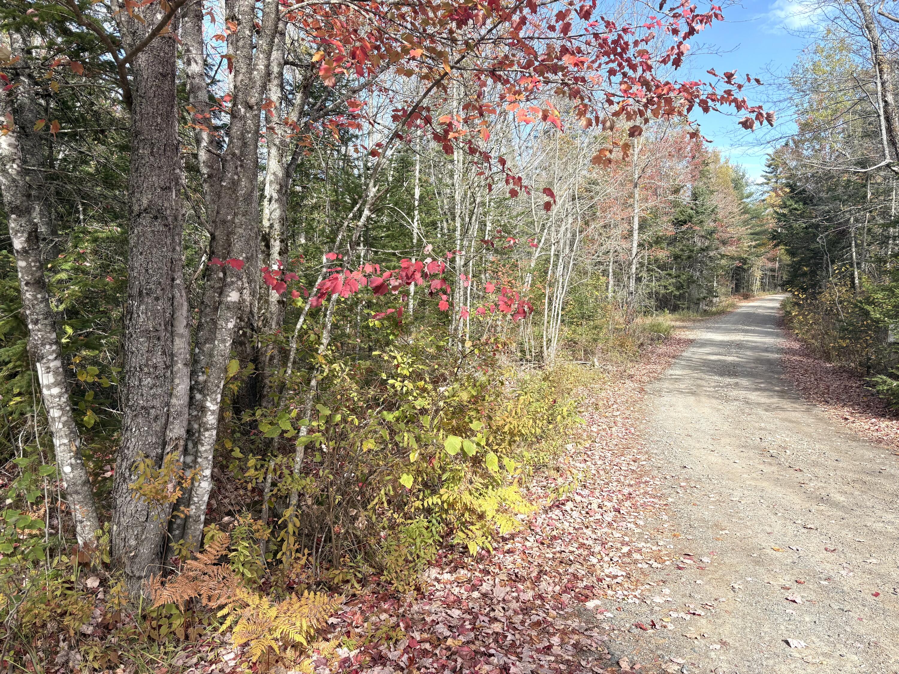 Lot 22 Off South Meadow Perry, ME 04667 - Photo 2 of 15 IMG_0300