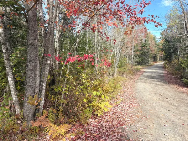 $65,000 | Lot 22 Off South Meadow, Perry, ME 04667
