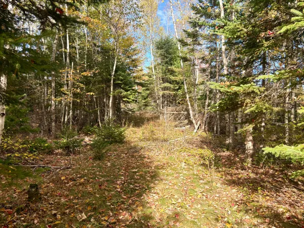 $65,000 | Lot 22 Off South Meadow, Perry, ME 04667