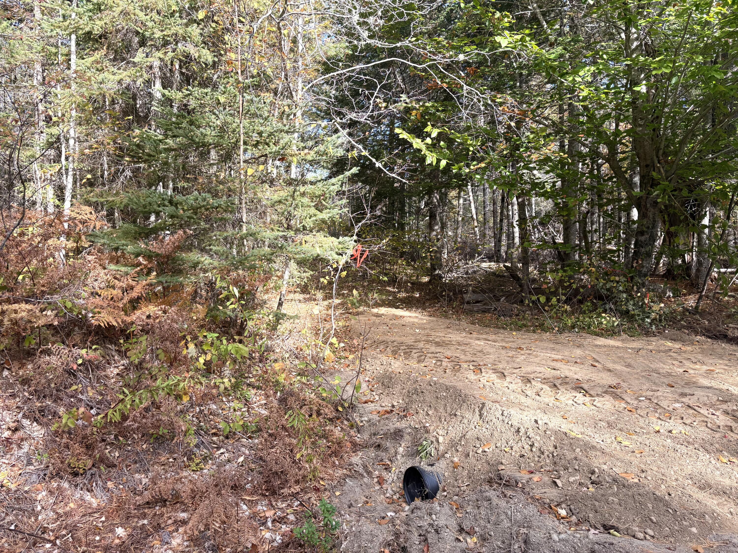 Lot 22 Off South Meadow Perry, ME 04667 - Photo 4 of 15 IMG_0301