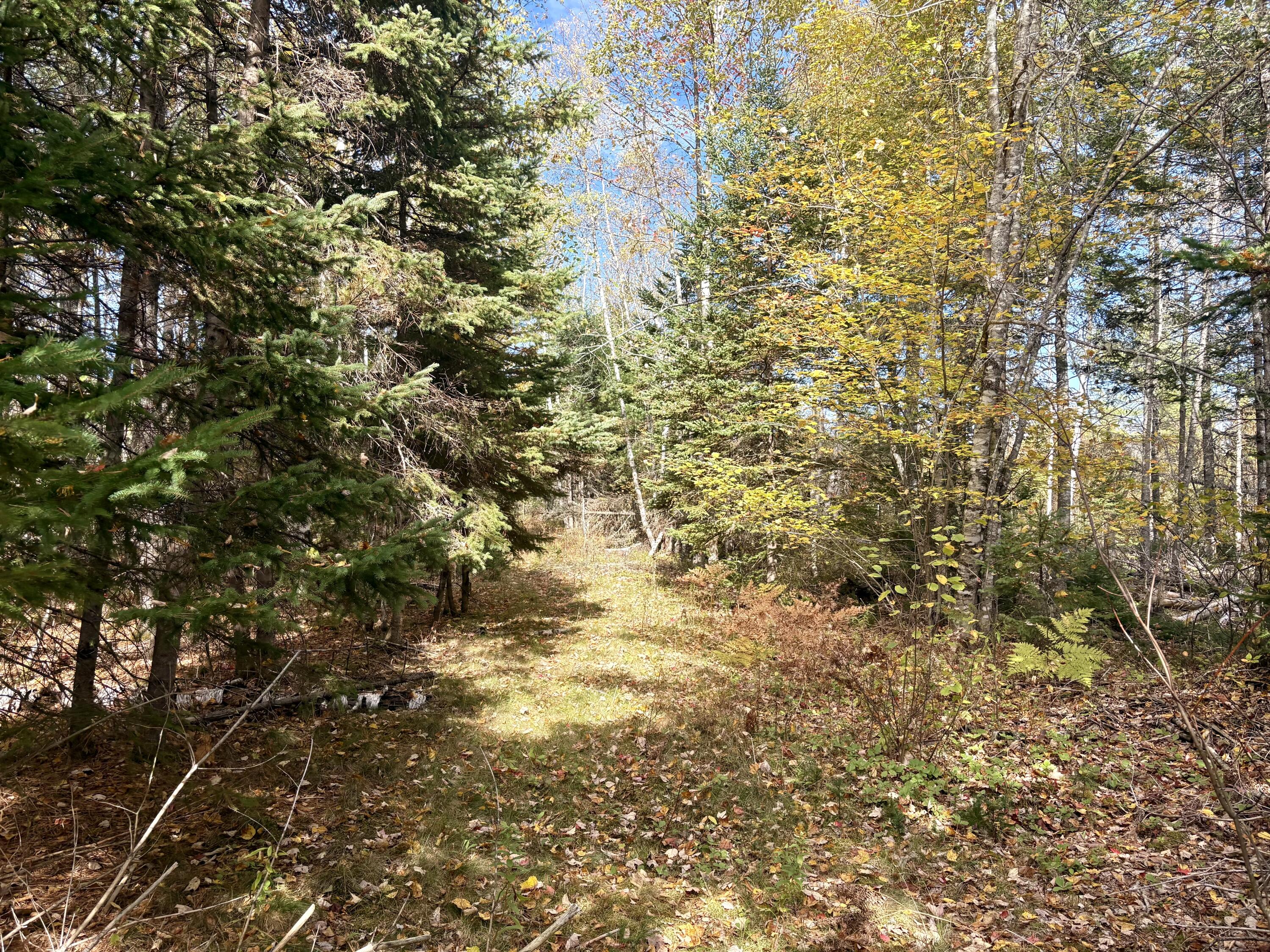 Lot 22 Off South Meadow Perry, ME 04667 - Photo 6 of 15 IMG_0303