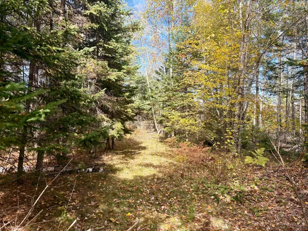 $65,000 | Lot 22 Off South Meadow, Perry, ME 04667