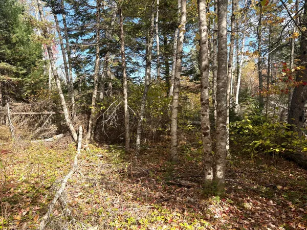 $65,000 | Lot 22 Off South Meadow, Perry, ME 04667