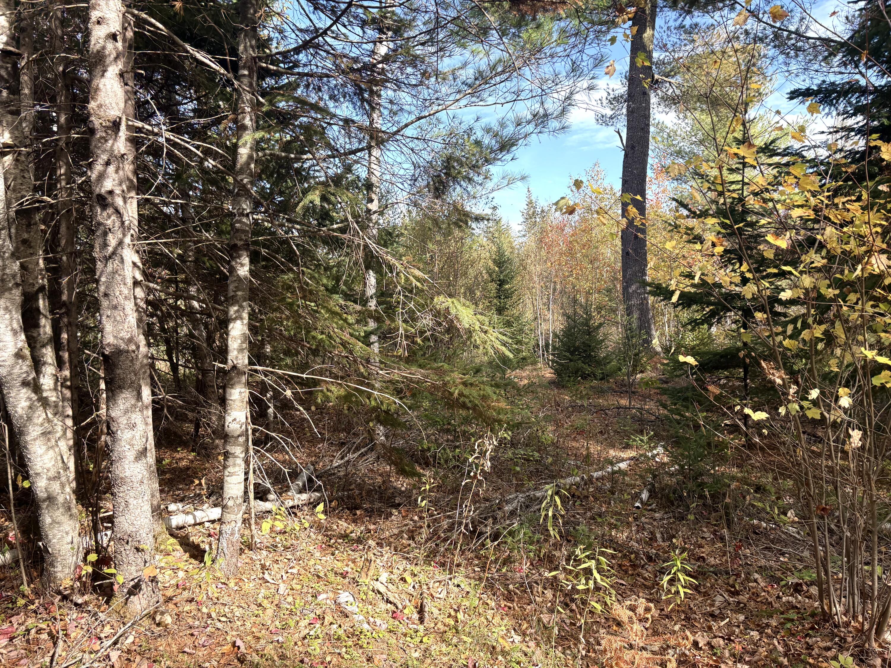 Lot 22 Off South Meadow Perry, ME 04667 - Photo 9 of 15 IMG_0307