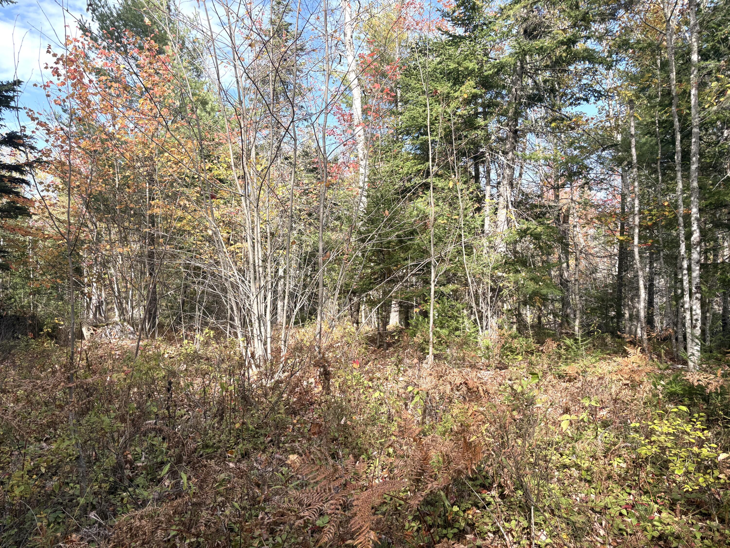Lot 22 Off South Meadow Perry, ME 04667 - Photo 10 of 15 IMG_0308