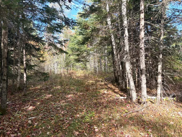 $65,000 | Lot 22 Off South Meadow, Perry, ME 04667