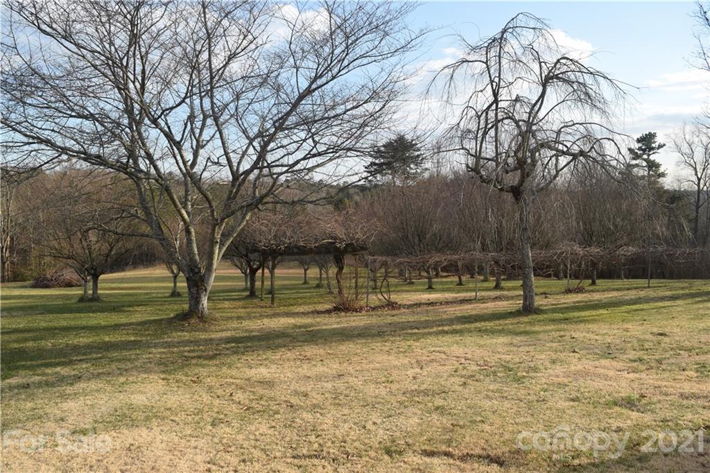 3189 Short Road Hickory, NC 28602 - Photo 8 of 24 a view of outdoor space with trees
