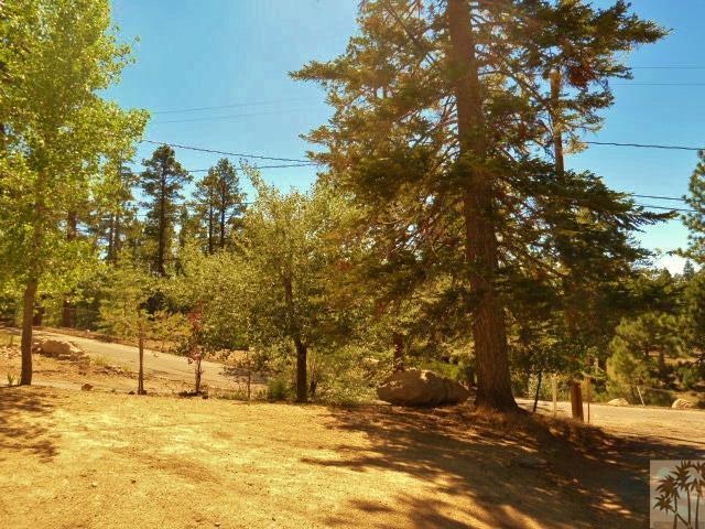 809 Talmadge Road Big Bear Lake, CA 92315 - Photo 4 of 25 a view of a yard with trees