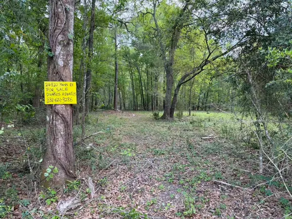 a flag is sitting in the middle of forest