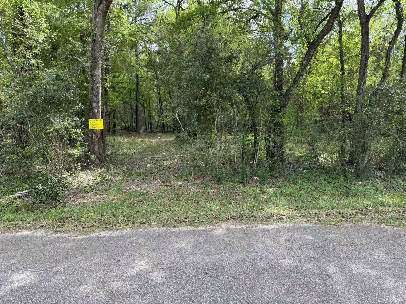 24820 Marks Road Splendora, TX 77372 - Photo 4 of 7 a backyard of a house with lots of green space