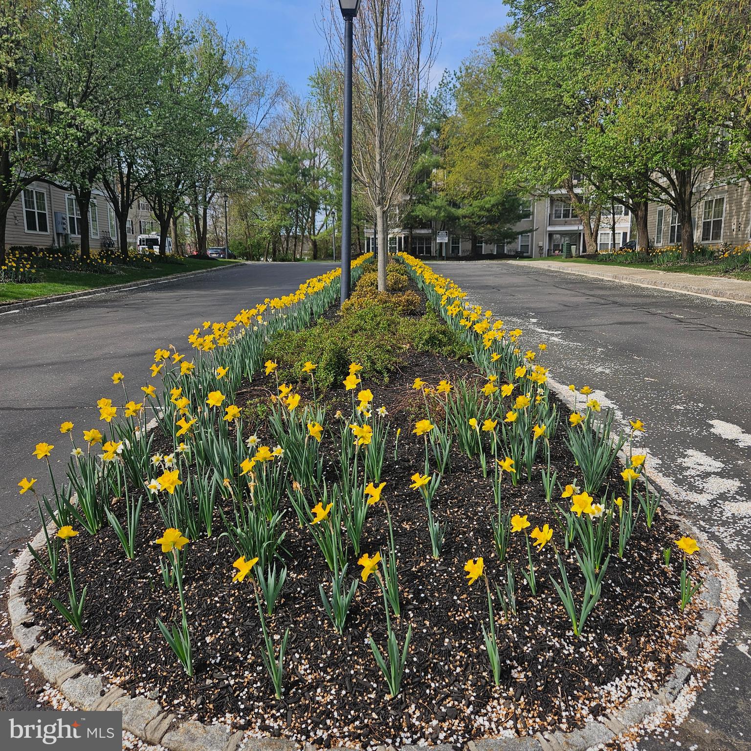 74 Kyle Way Trenton, NJ 08628 - Photo 2 of 31