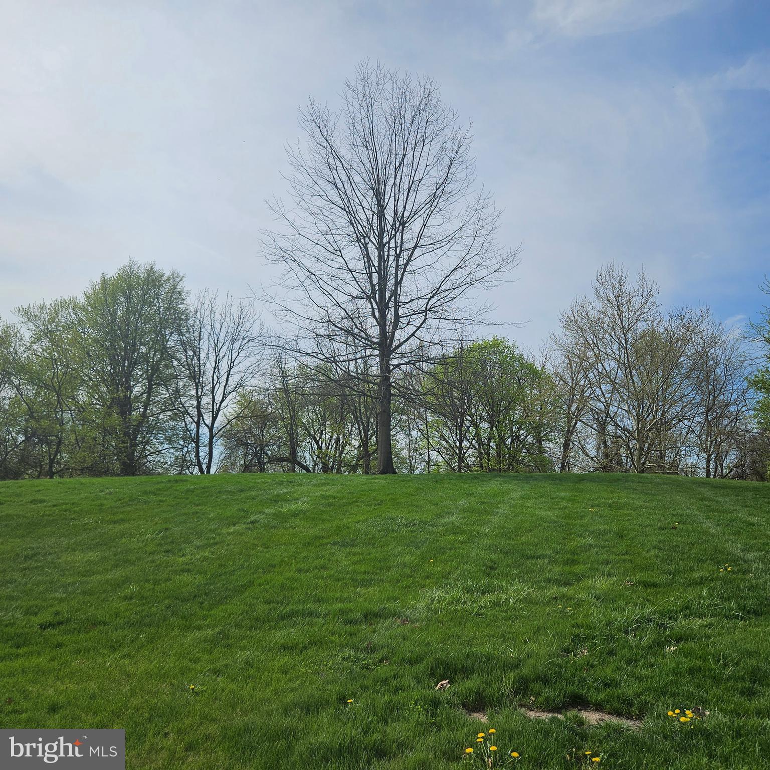 74 Kyle Way Trenton, NJ 08628 - Photo 27 of 31