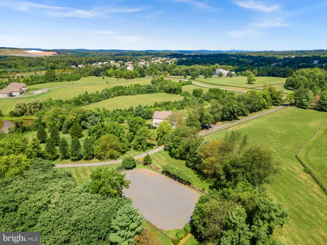 a view of a lush green outdoor space with a lake view