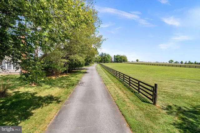 a view of a garden with lake