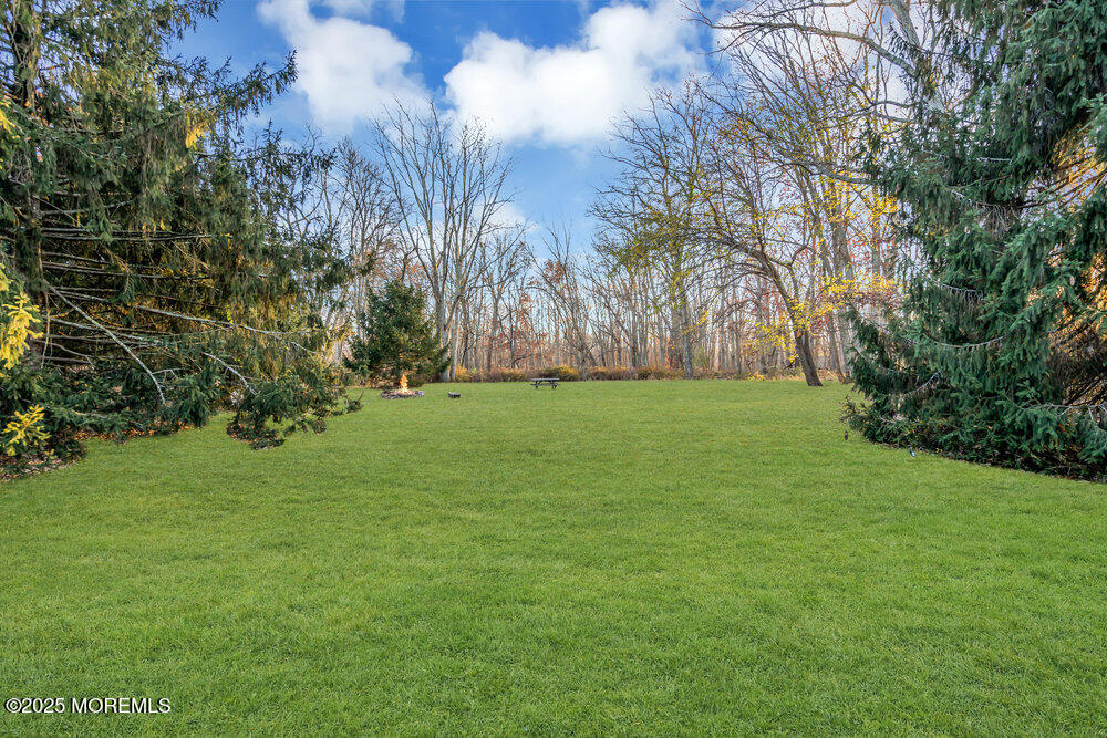 254 Alexander Avenue Howell, NJ 07731 - Photo 24 of 24 a view of a grassy field with trees