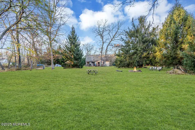 a green field with lots of trees
