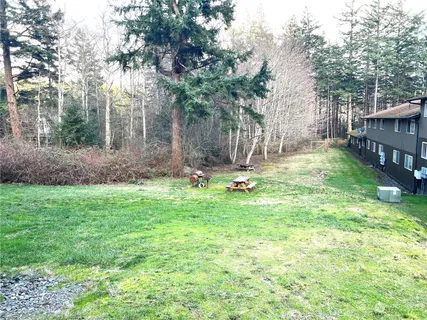 a view of backyard with deck and trees