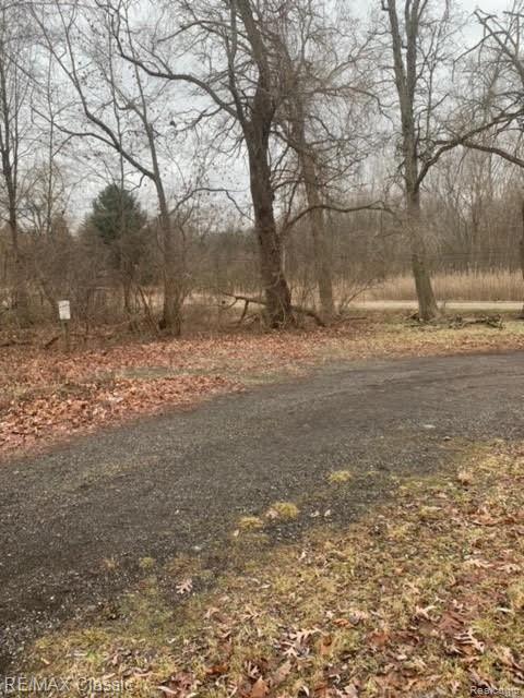 44320 Willis Road Belleville, MI 48111 - Photo 4 of 38 w23.jpg