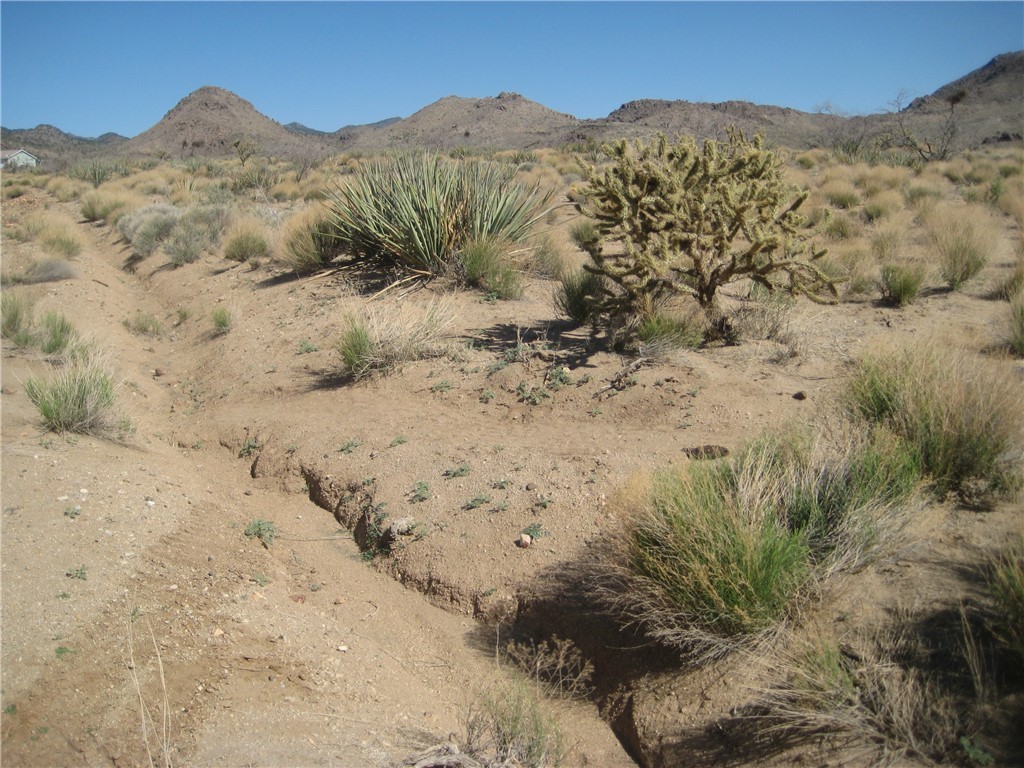 0 Red Wing Canyon Road Kingman, AZ 86409 - Photo 1 of 18 View