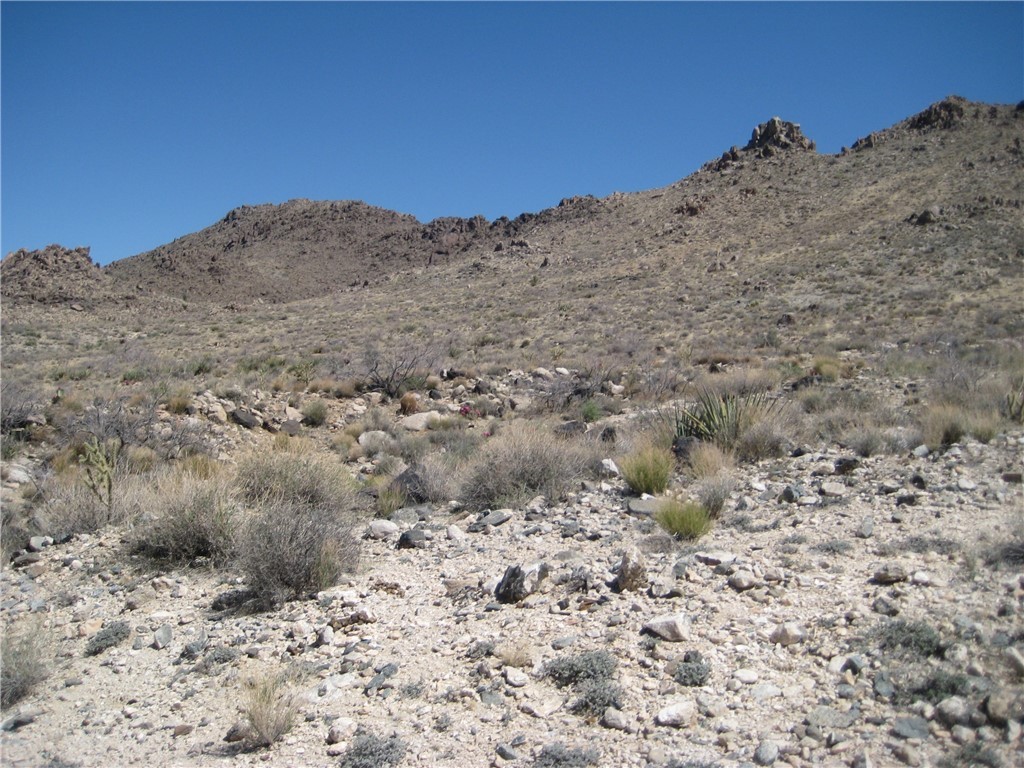 0 Red Wing Canyon Road Kingman, AZ 86409 - Photo 16 of 18 View
