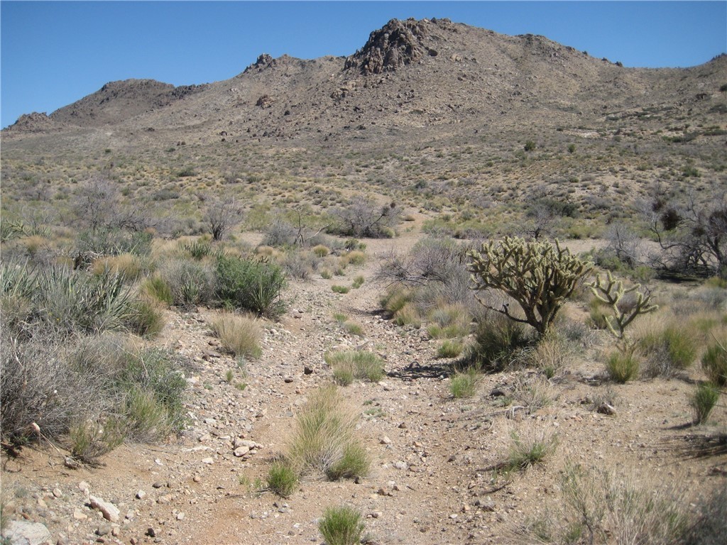0 Red Wing Canyon Road Kingman, AZ 86409 - Photo 8 of 18 View