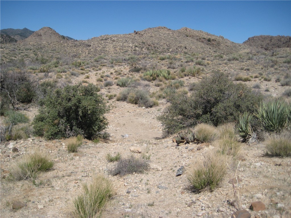 0 Red Wing Canyon Road Kingman, AZ 86409 - Photo 10 of 18 View