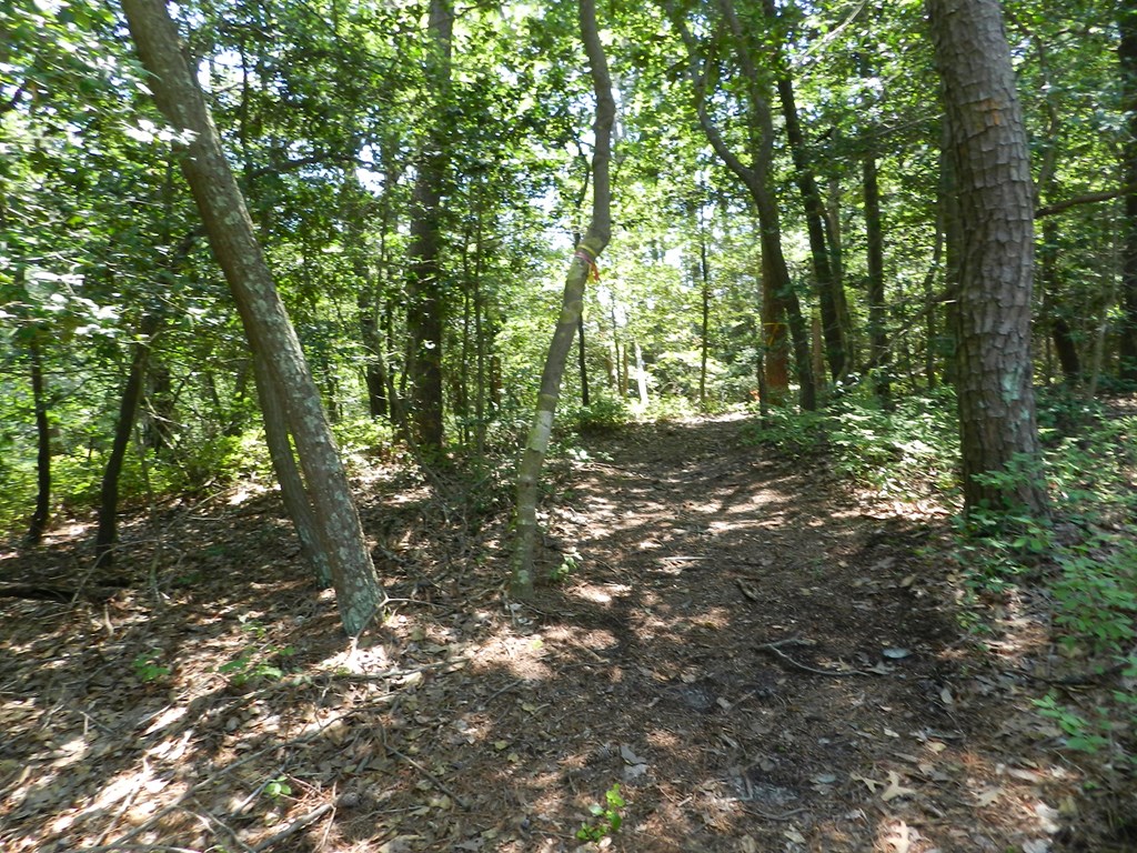 Lot B6 Saltworks Road, Unit B6 Exmore, VA 23350 - Photo 20 of 28
