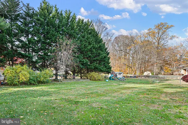 a view of a park with large trees