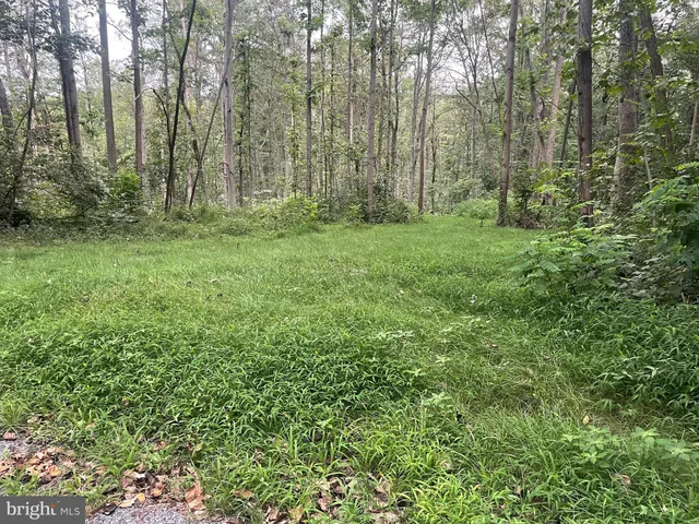 a view of outdoor space and green space