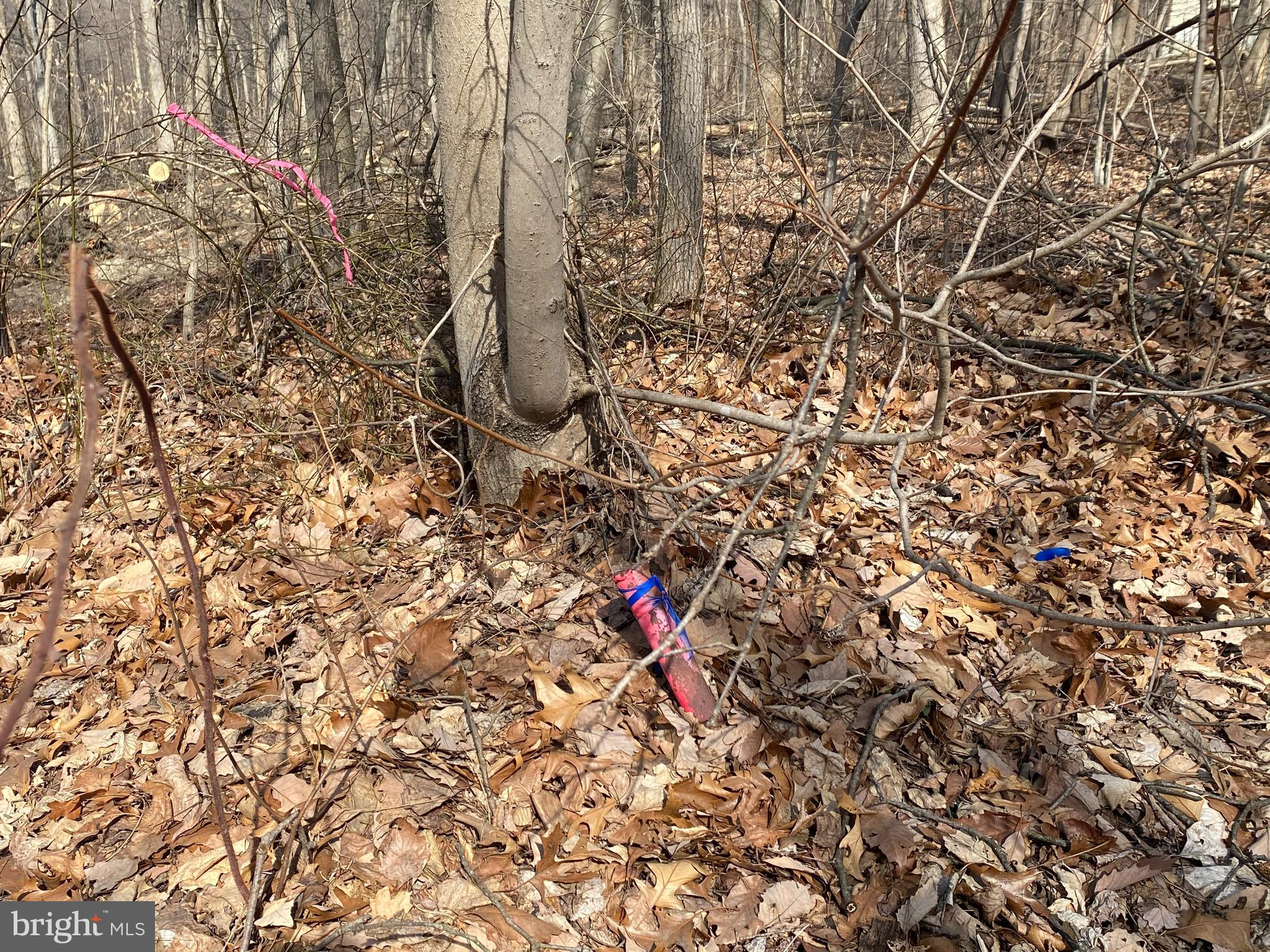 0 Laurel Road Narvon, PA 17555 - Photo 11 of 11