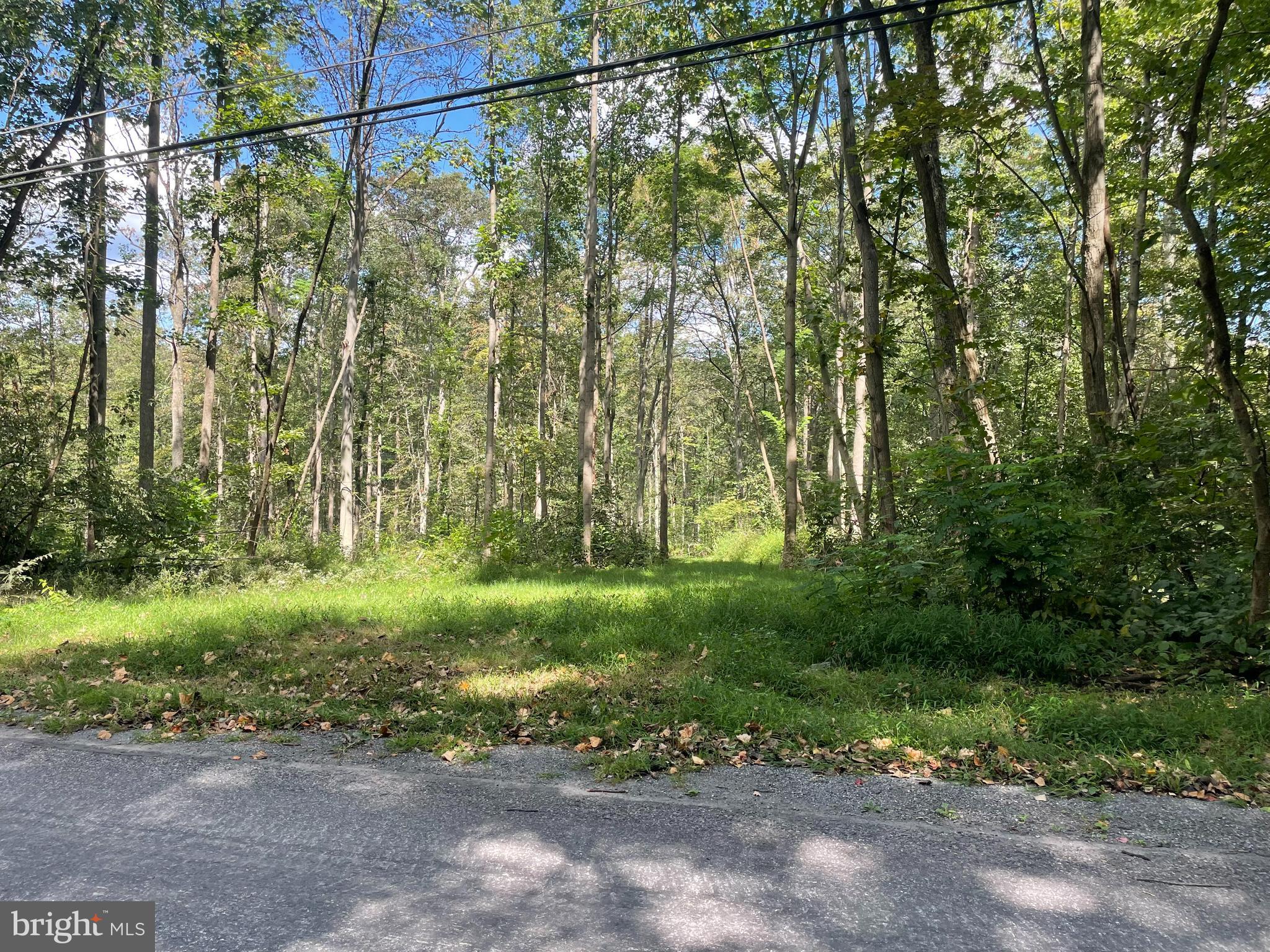 0 Laurel Road Narvon, PA 17555 - Photo 2 of 11 a view of a yard