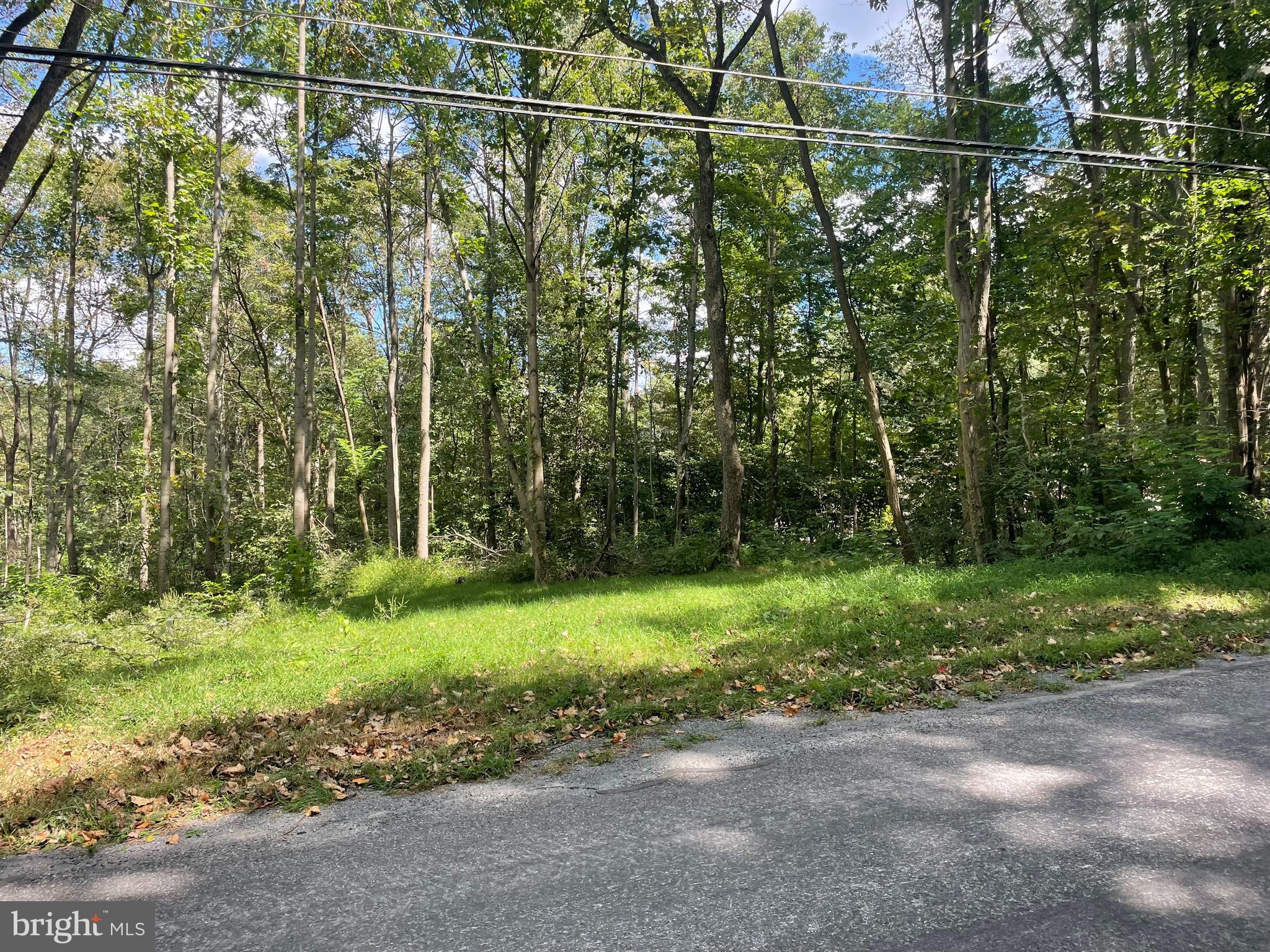 0 Laurel Road Narvon, PA 17555 - Photo 5 of 11 a view of a yard with potted plants and large trees