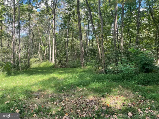 a view of outdoor space and yard