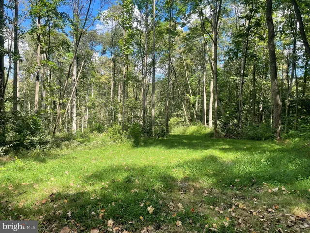 a view of outdoor space and green space