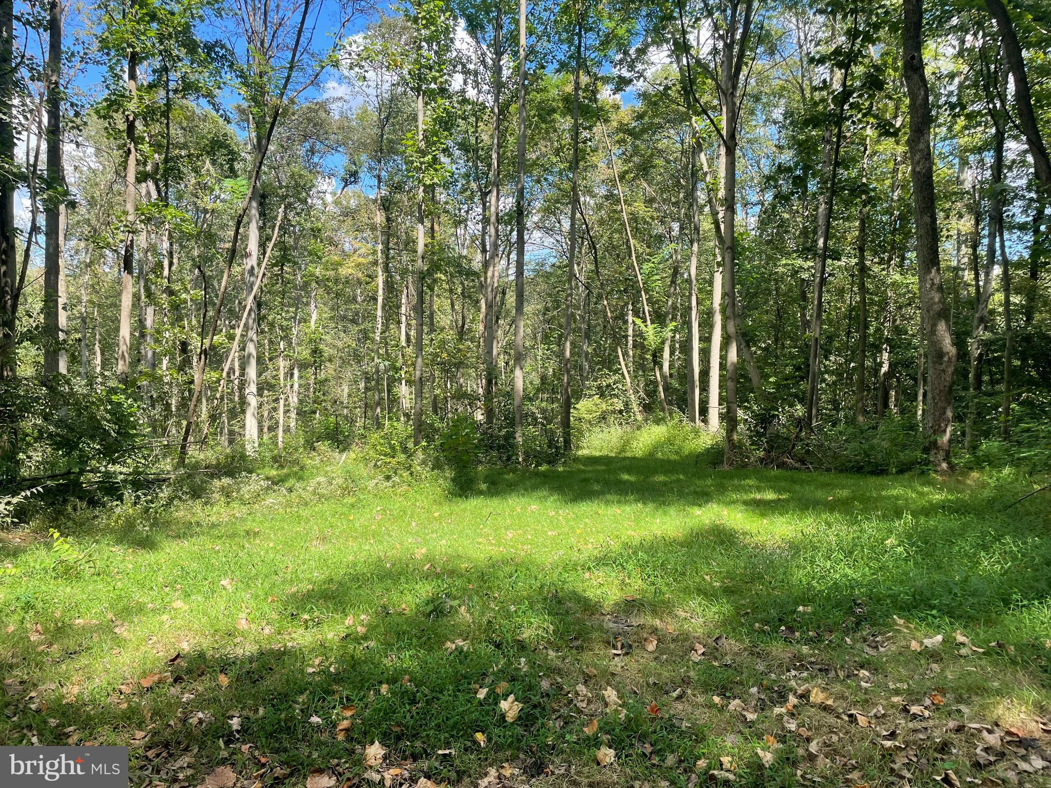 0 Laurel Road Narvon, PA 17555 - Photo 8 of 11 a view of outdoor space and yard
