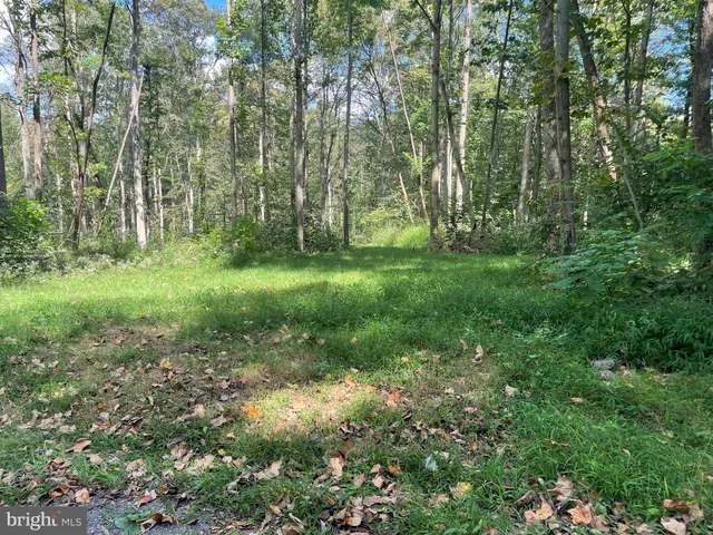 a view of a yard with a trees