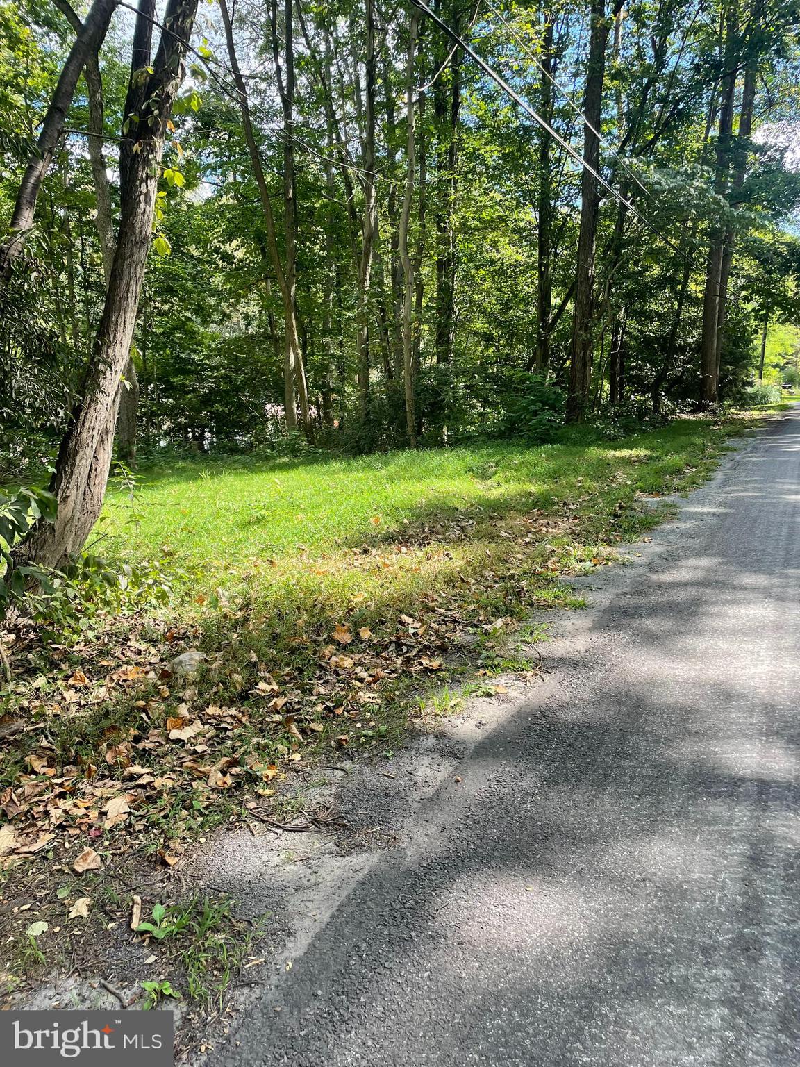 0 Laurel Road Narvon, PA 17555 - Photo 10 of 11 a view of a yard with a trees