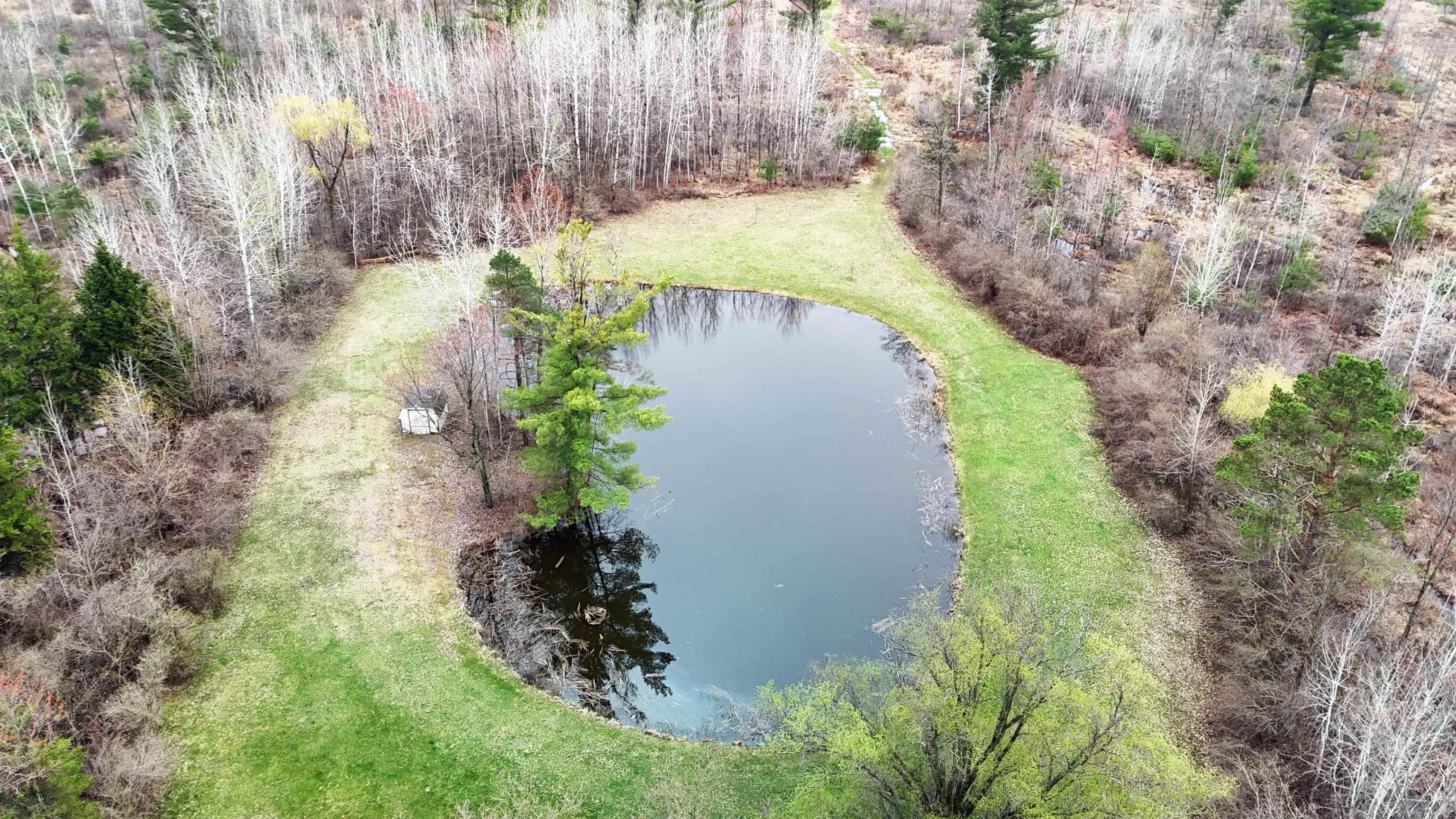 4145 West Shearer Road Coleman, MI 48618 - Photo 25 of 35