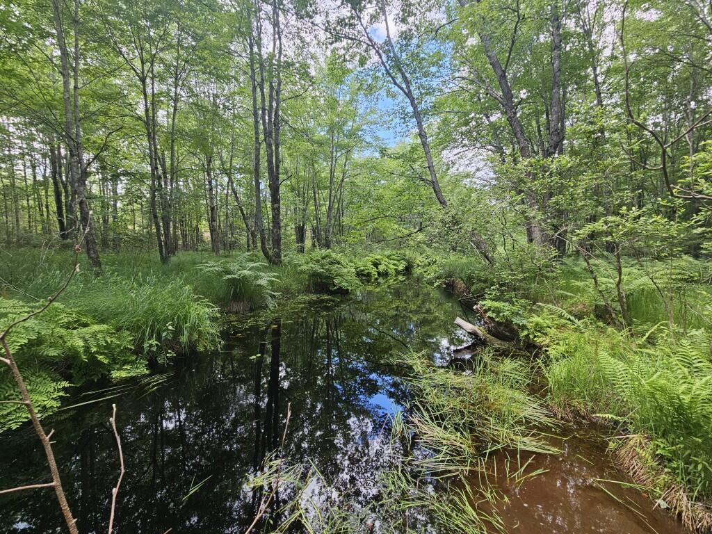 Multiple Quaker Ridge Road Leeds, ME 04263 - Photo 36 of 79 20260624_130011
