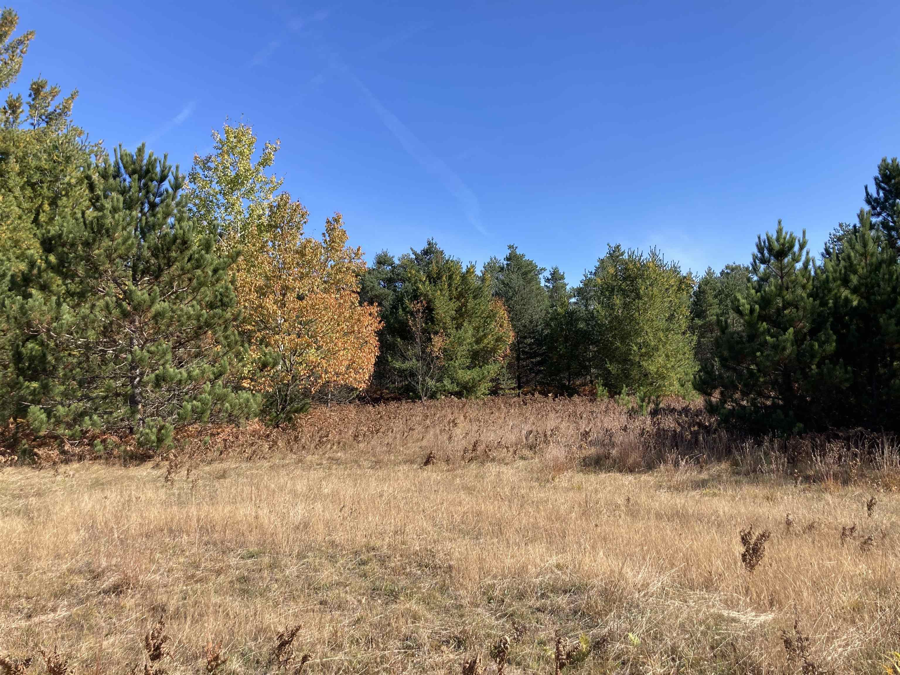 Nimrod Road Traverse City, MI 49685 - Photo 1 of 14