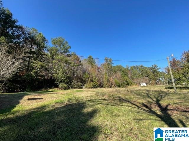 245 Highway 467 Vincent, AL 35178 - Photo 22 of 27