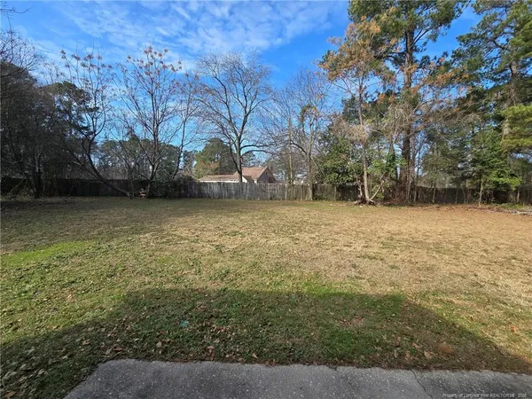 a view of a yard with a tree
