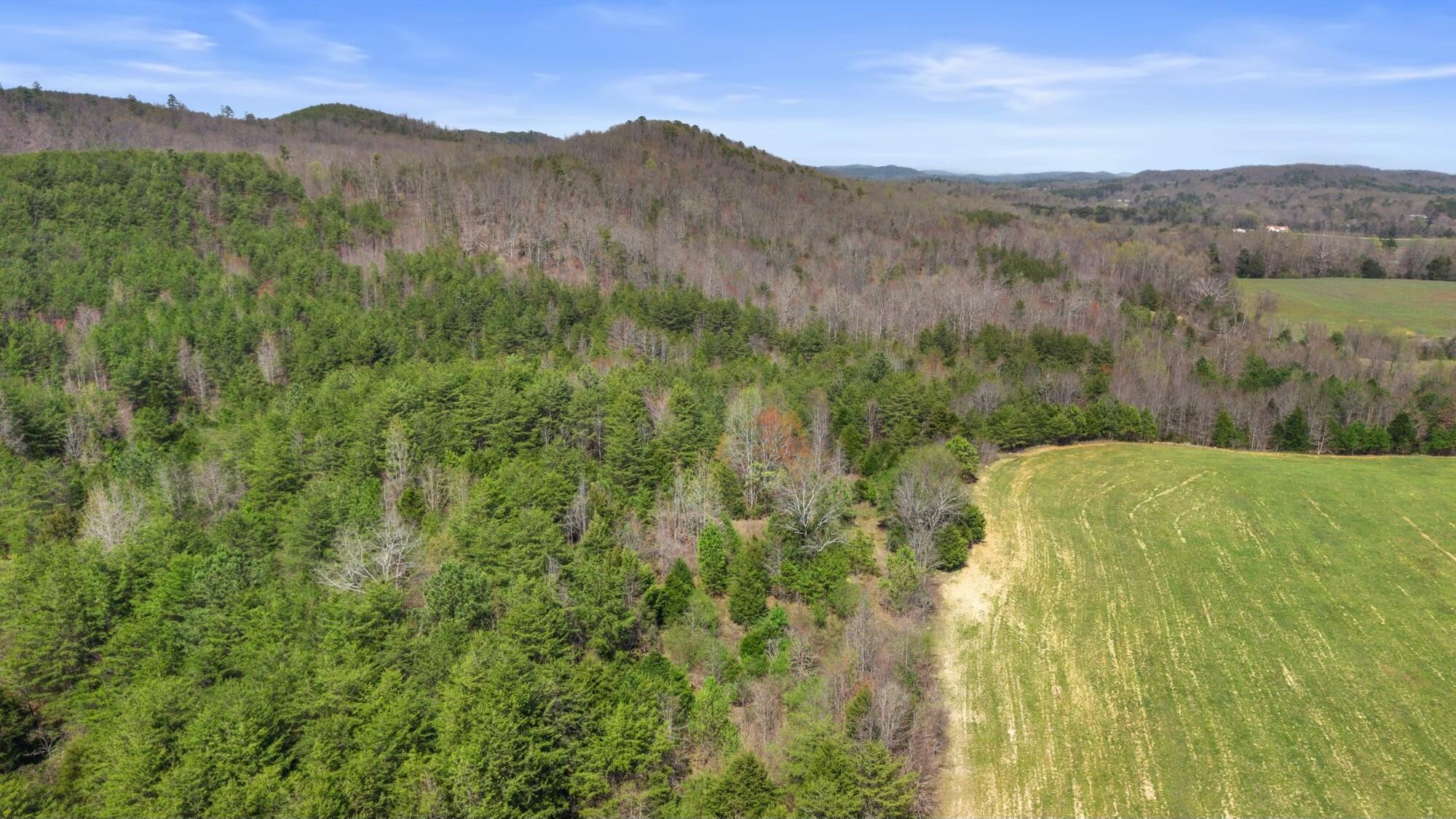 0 Harrison Pike Southwest McDonald, TN 37353 - Photo 21 of 26
