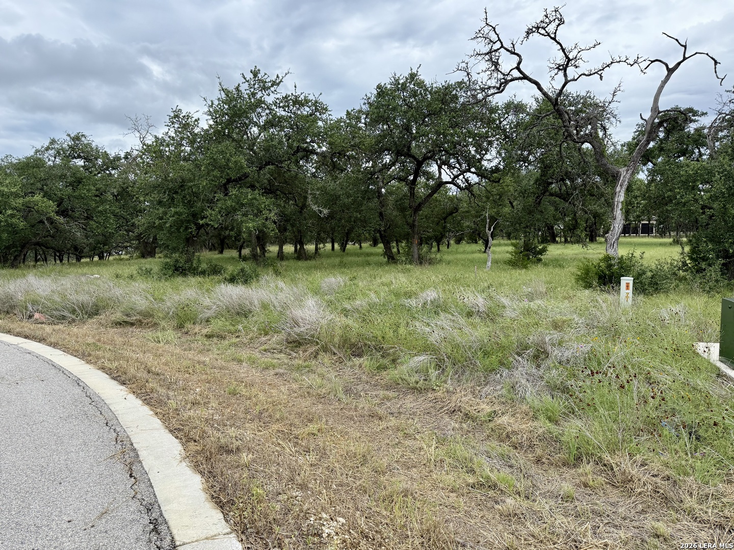 34781 High Gate Road Bulverde, TX 78163 - Photo 4 of 20