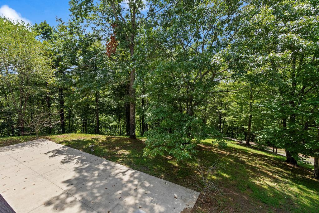 530 Hanging Dog Road Murphy, NC 28906 - Photo 78 of 84