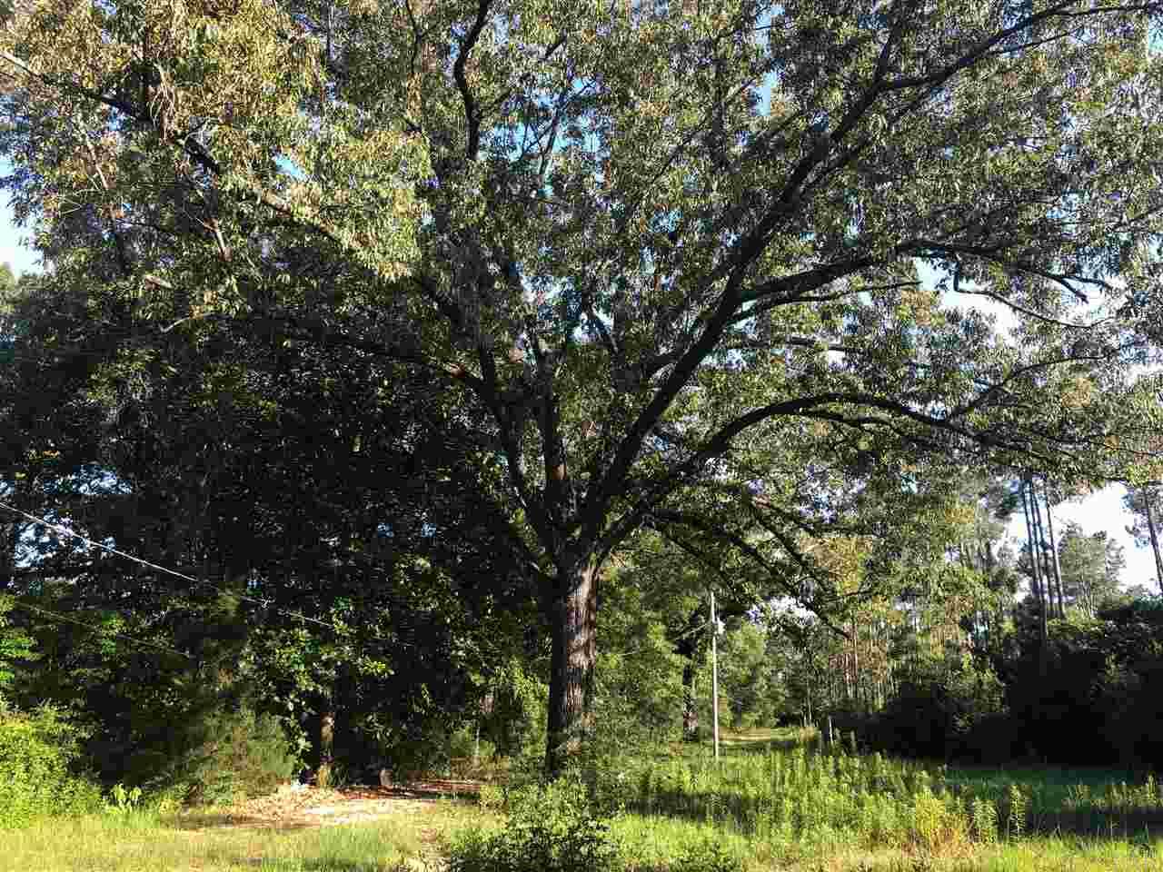 1540 McCawley Road McDavid, FL 32568 - Photo 10 of 11 Gallery Image 10