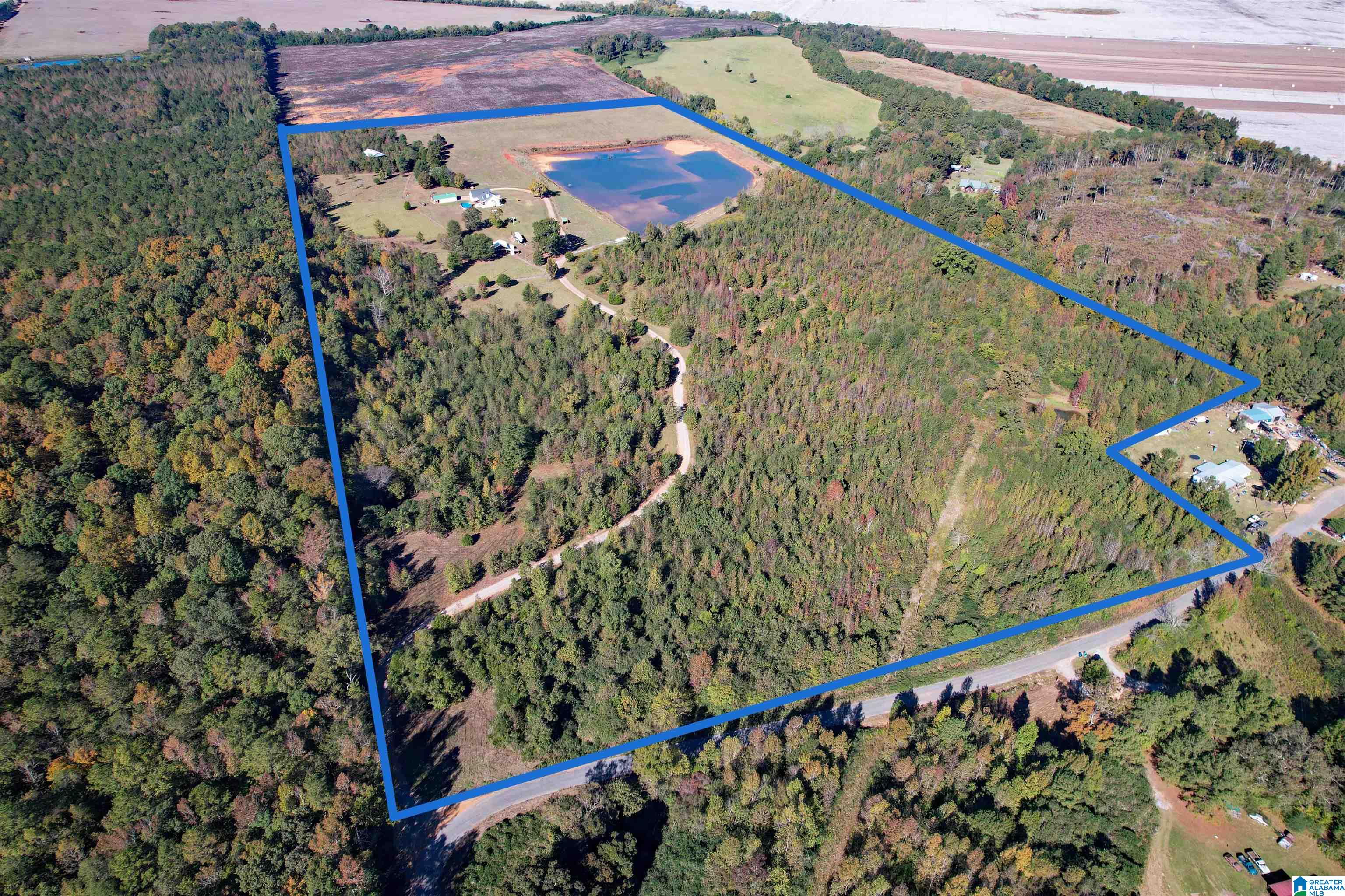 1450 Rendalia Motorway Talladega, AL 35160 - Photo 20 of 64